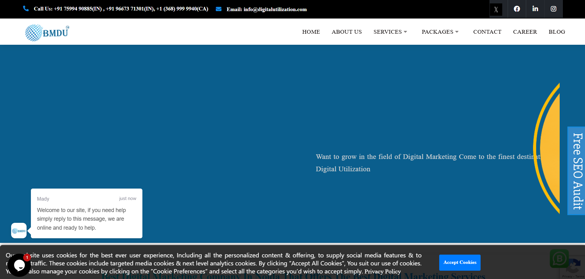 BM Digital Utilization