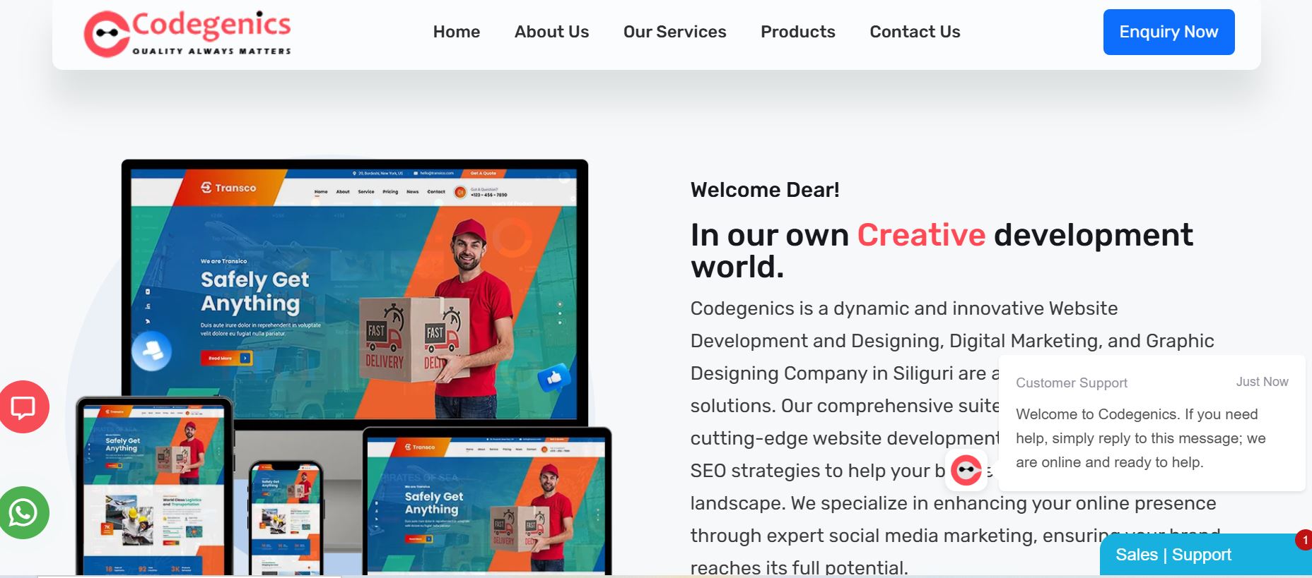 Codegenics IT solutions