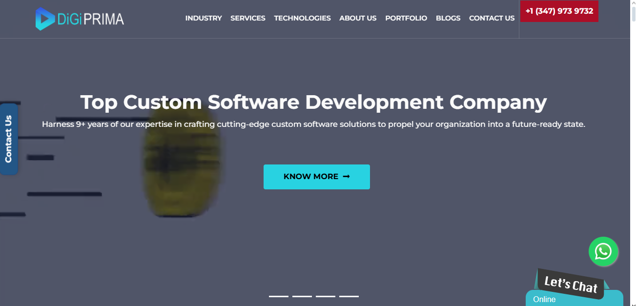 Digiprima Technologies