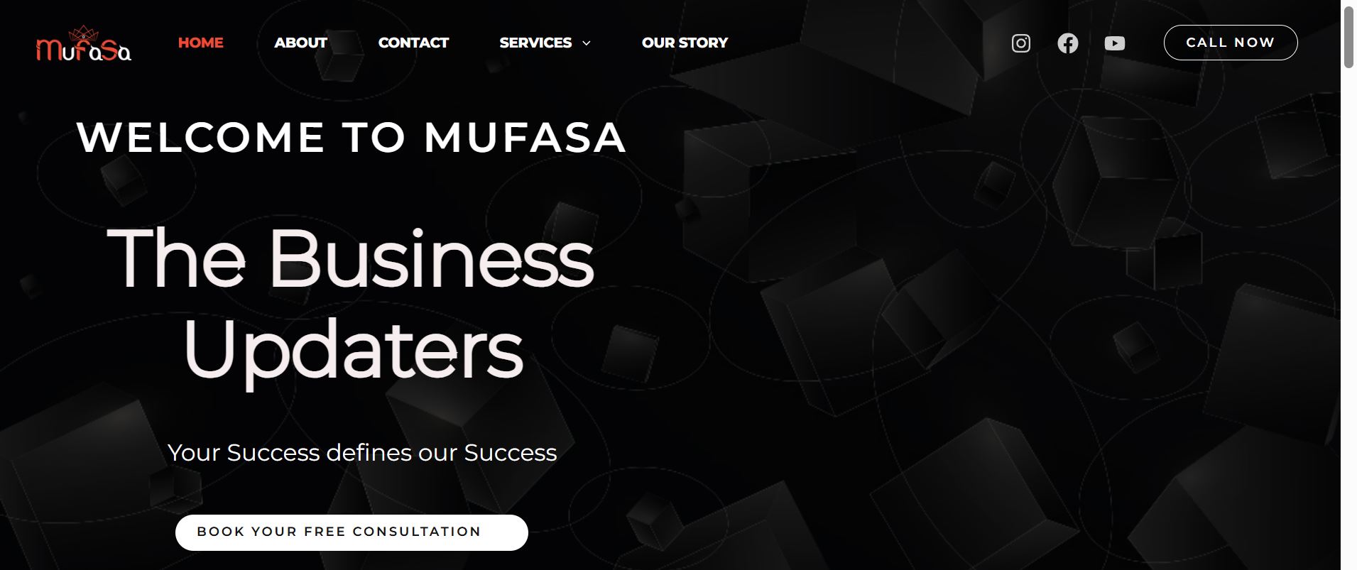 Mufasa Business Updaters