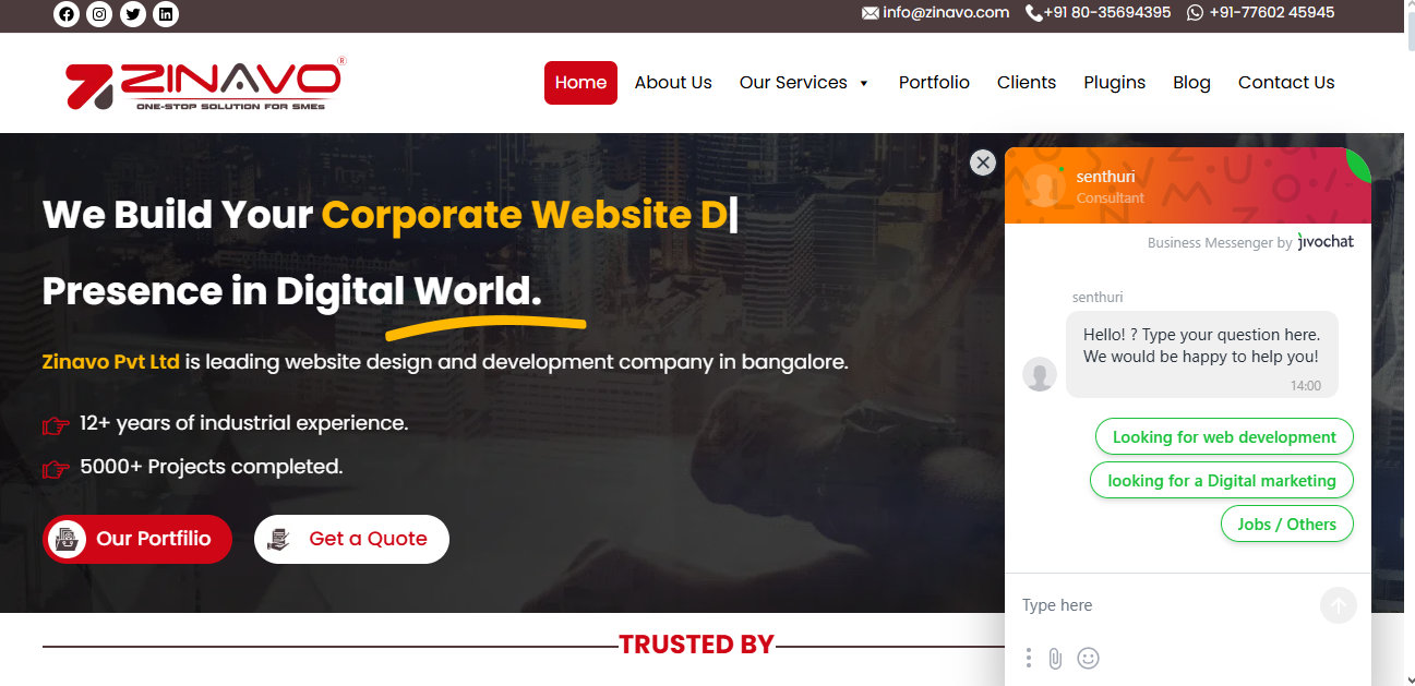 zinavo.com