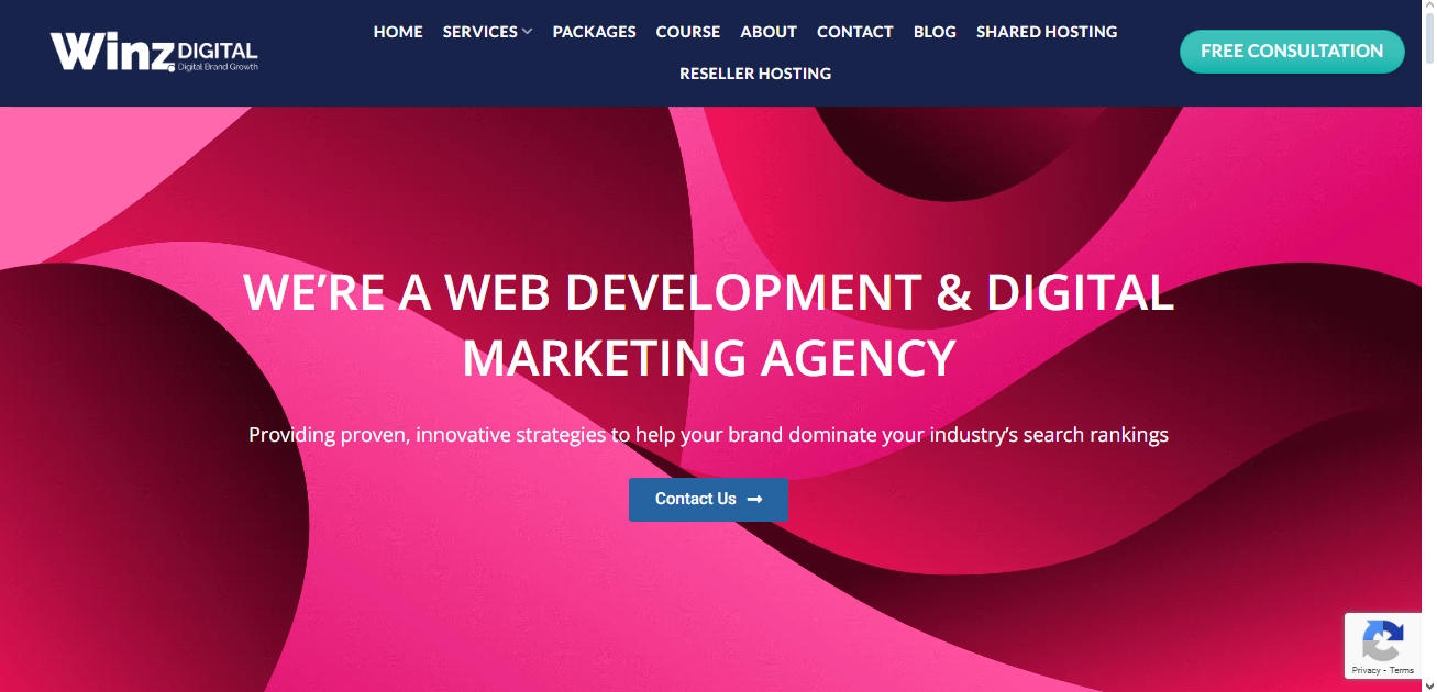Winz Digital Marketing Agency