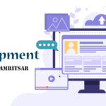 CMS Development Companies in Amritsar